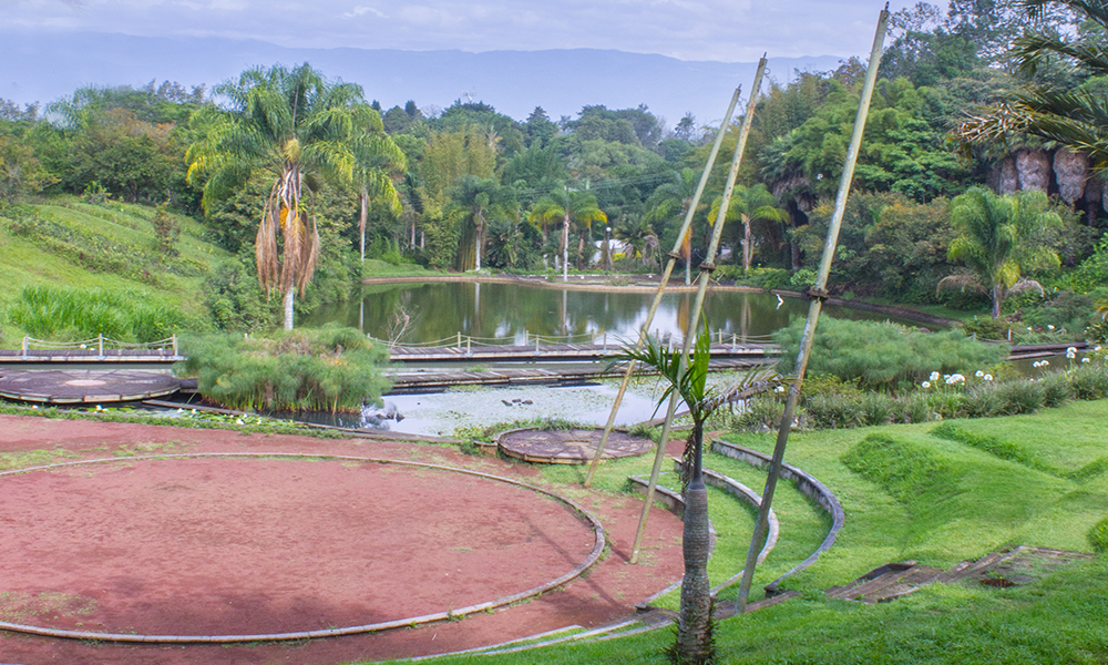 Foto de referencia del lago del Campus CAD, con palmeras, plaza circular y puente peatonal
